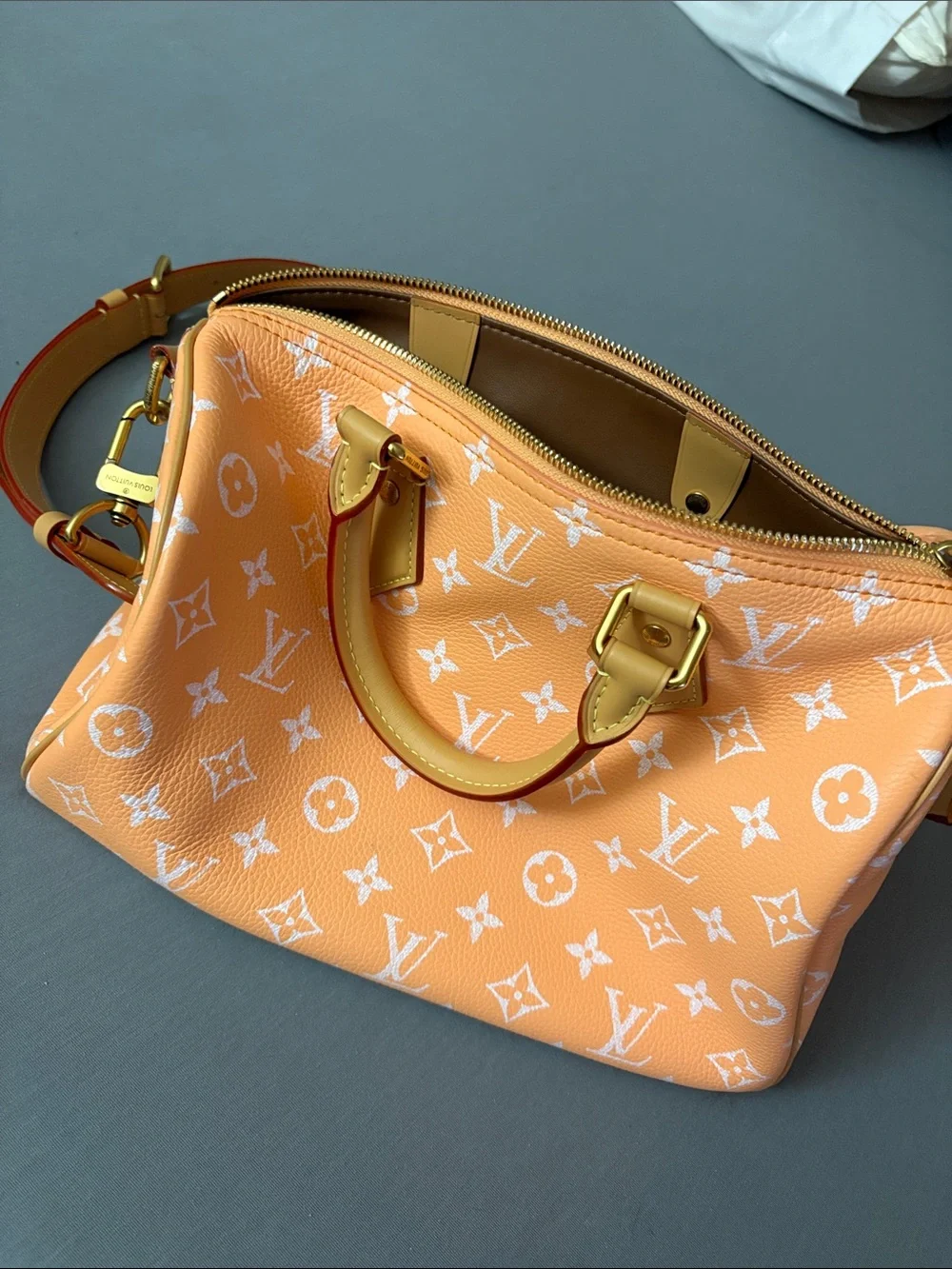 Louis Vuitton P9 speedy 30 orange